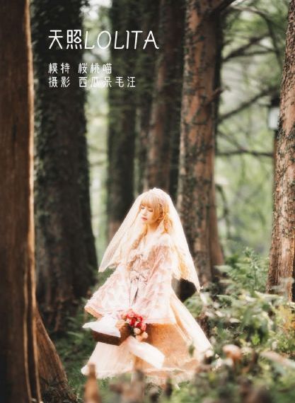三上悠亚ed2k在线观看_超清超清在线观看
